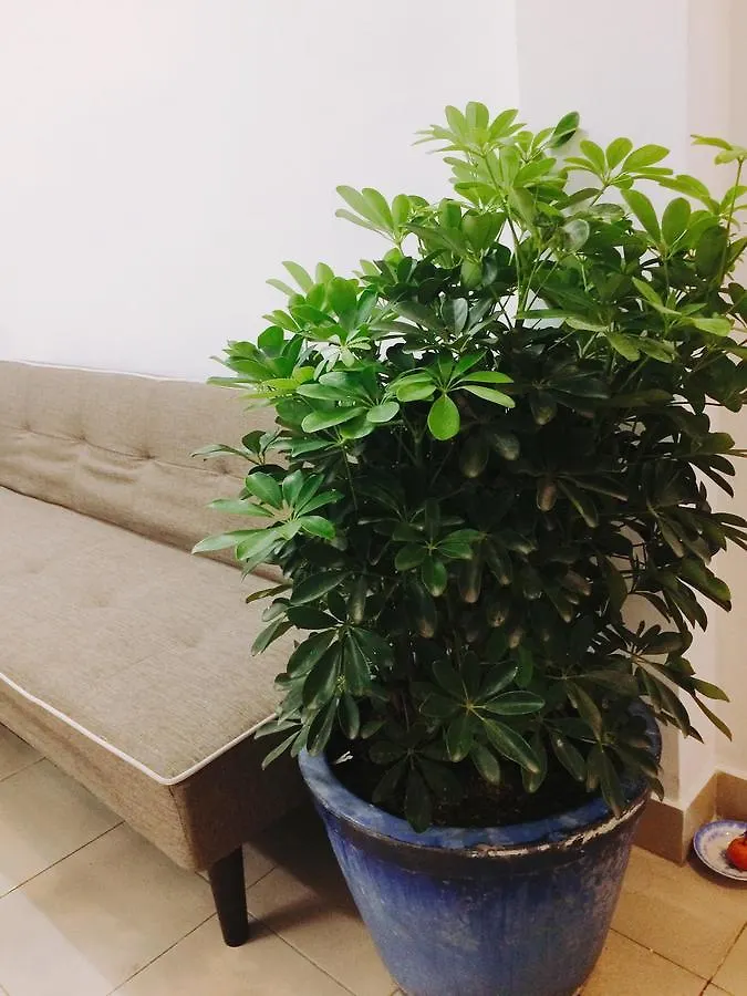 Condodo Hostel Ho Chi Minh City